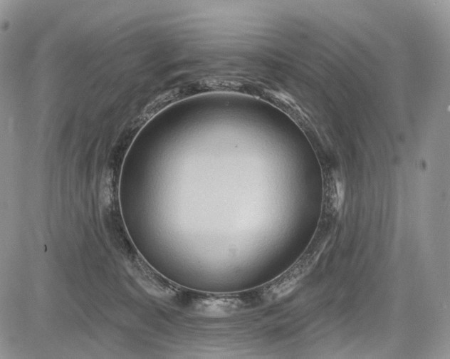 X0000085260323200703161410