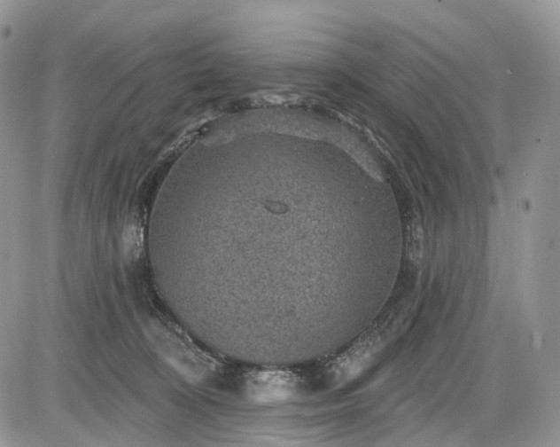 X0000085260324200703161410