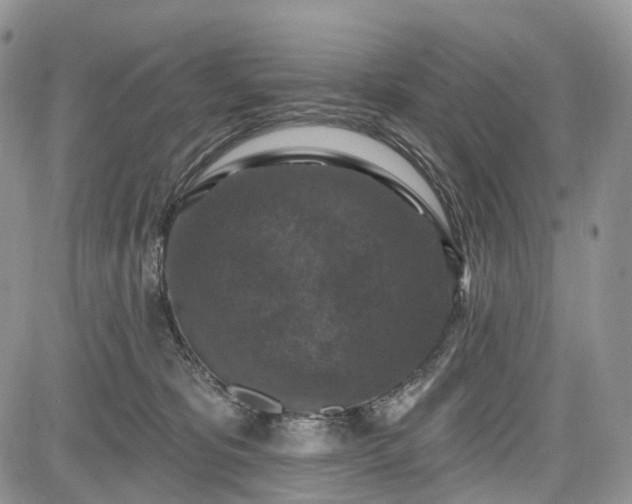 X0000085260325200703161410