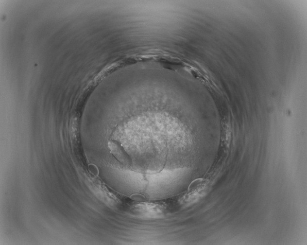 X0000085260326200703161410