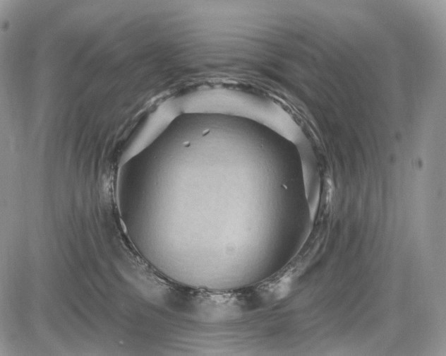 X0000085260329200703161410