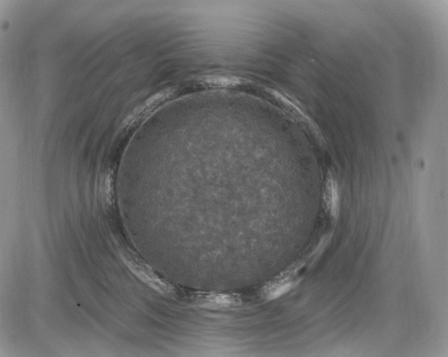 X0000085260330200703161410