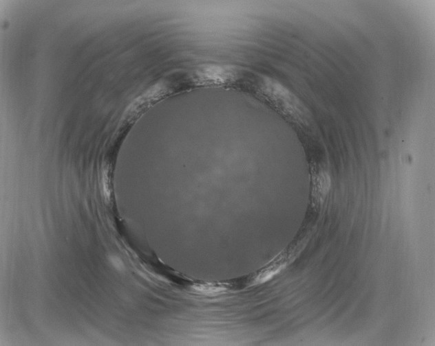 X0000085260331200703161410