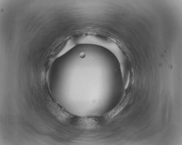 X0000085260333200703161410