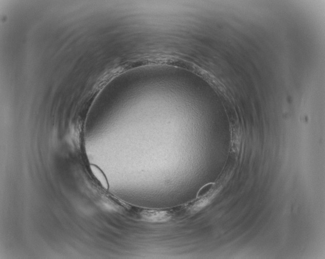 X0000085260334200703161410