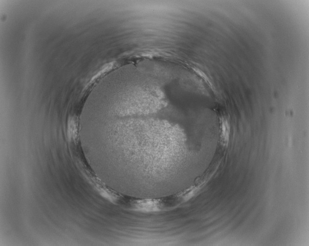 X0000085260335200703161410