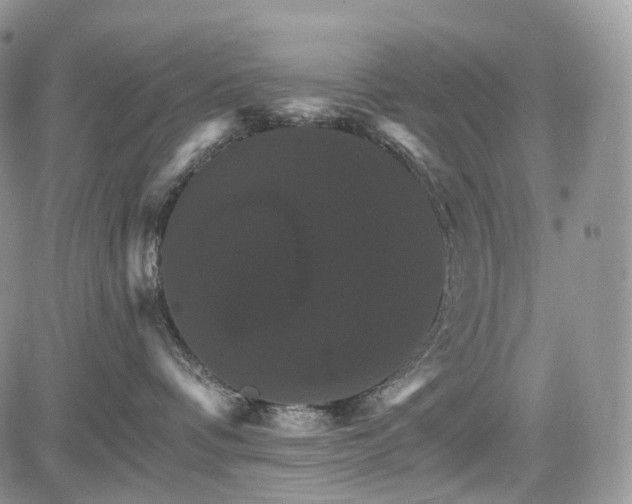 X0000085260336200703161410