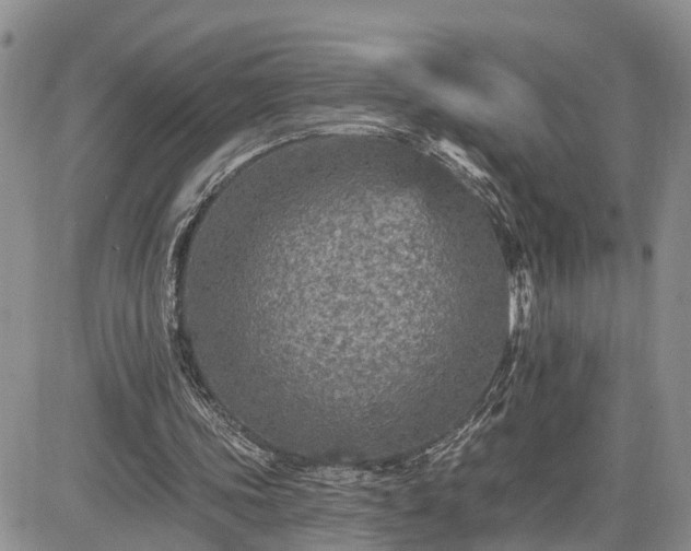 X0000085260339200703161409