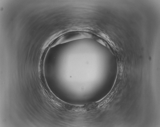 X0000085260340200703161409