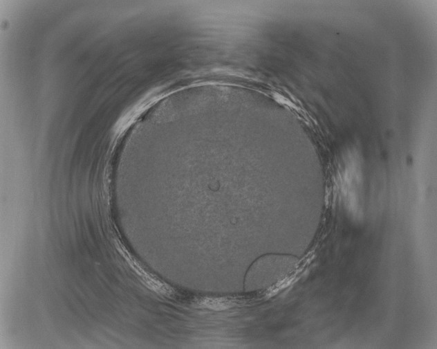 X0000085260341200703161410