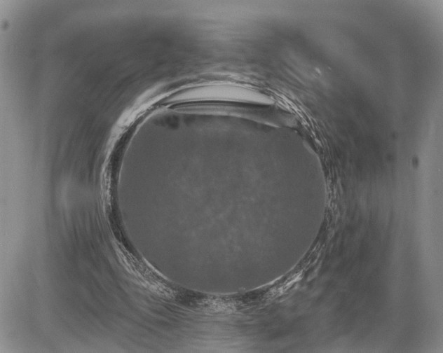 X0000085260343200703161410