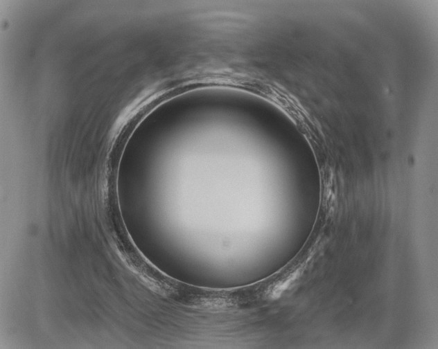 X0000085260344200703161410