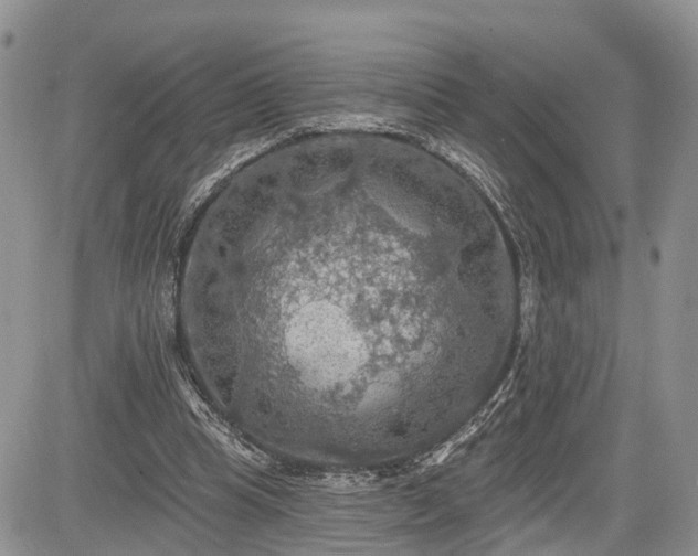 X0000085260345200703161410