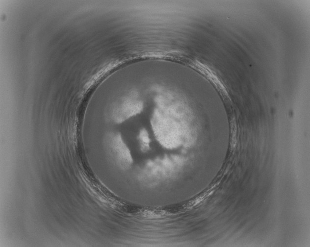 X0000085260346200703161410