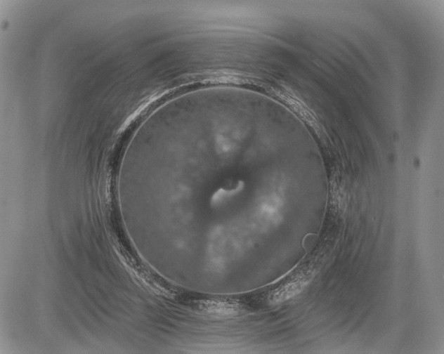 X0000085260347200703161410