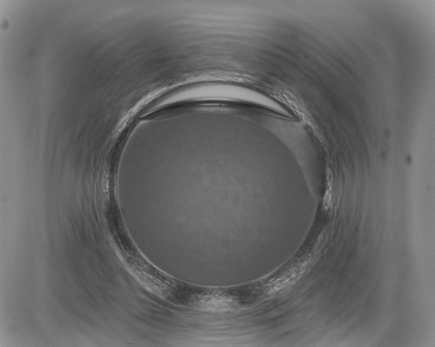 X0000085260348200703161410