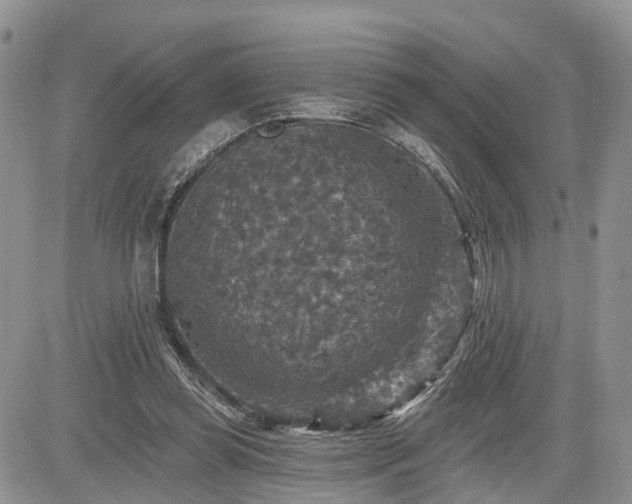 X0000085260349200703161410