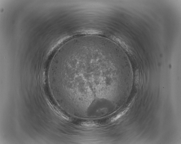 X0000085260351200703161410