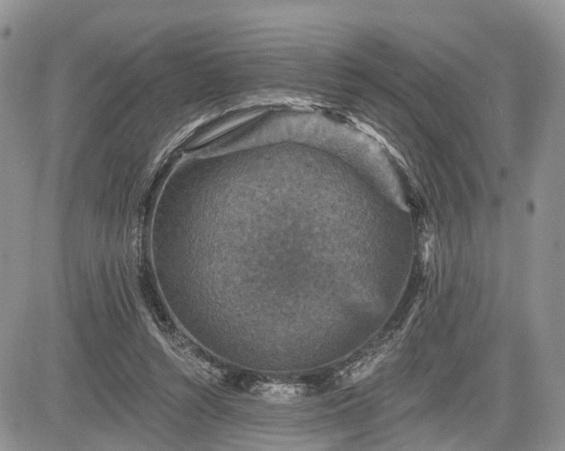 X0000085260352200703161410