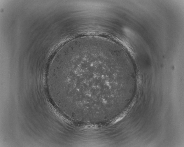 X0000085260353200703161410