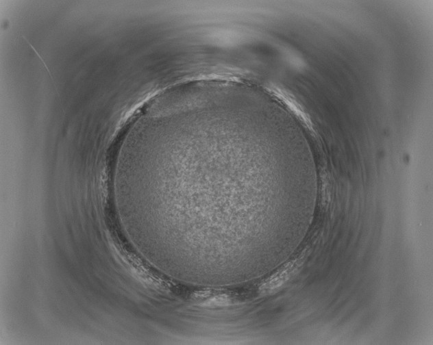 X0000085260354200703161410