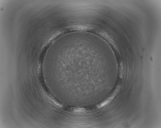 X0000085260355200703161410