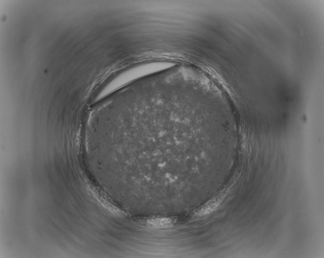 X0000085260357200703161410