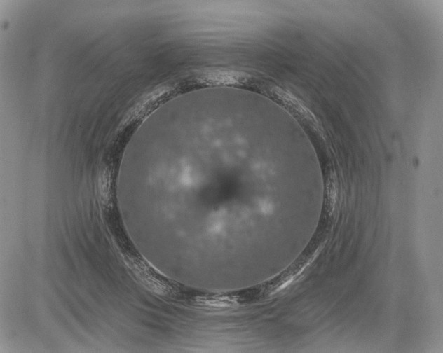 X0000085260359200703161410