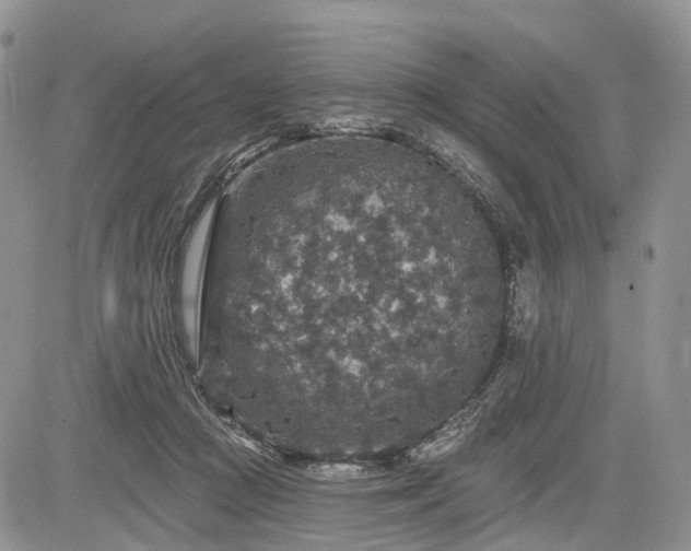 X0000085260361200703161410