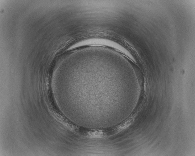 X0000085260362200703161410