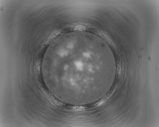 X0000085260363200703161410