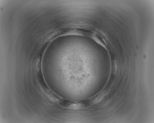 X0000085260364200703161410