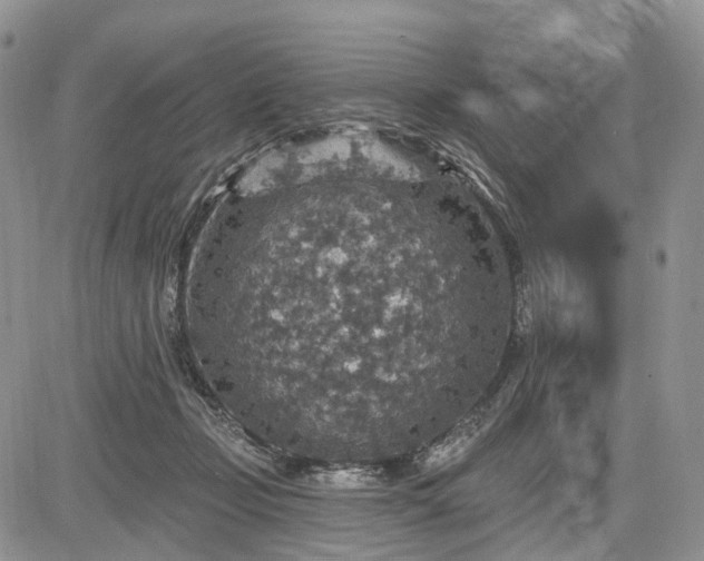 X0000085260365200703161410