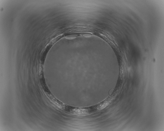 X0000085260367200703161410