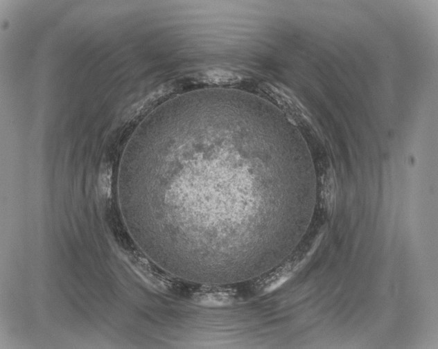 X0000085260368200703161410