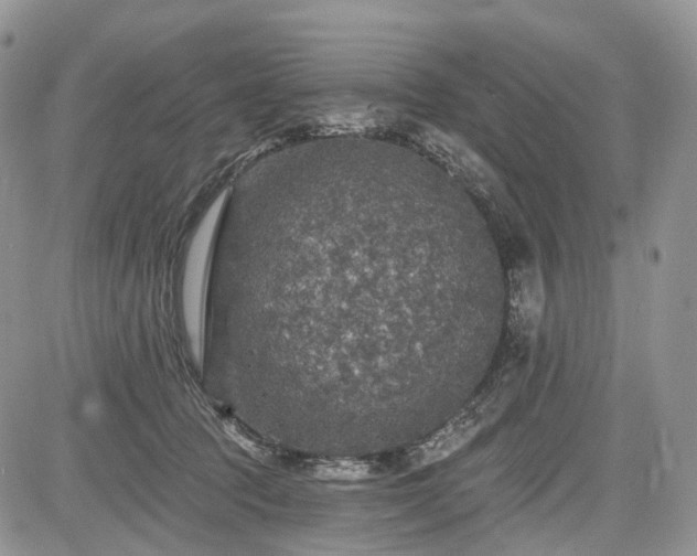 X0000085260369200703161410