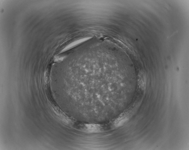 X0000085260371200703161410