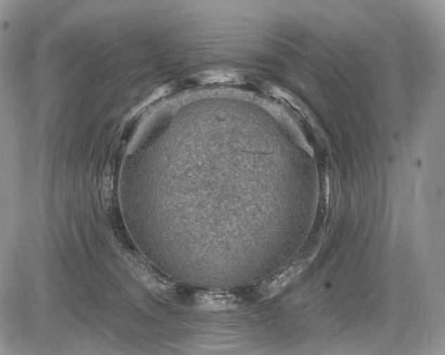 X0000085260372200703161410