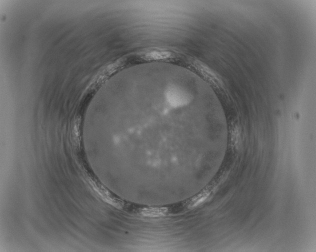 X0000085260373200703161410