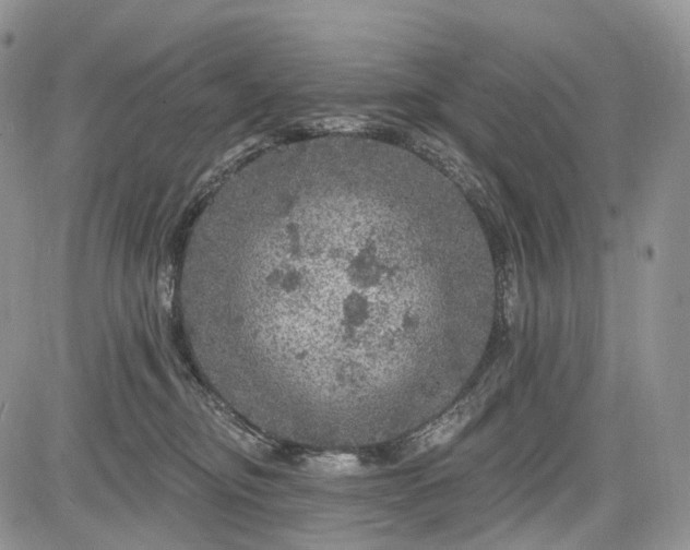 X0000085260374200703161410