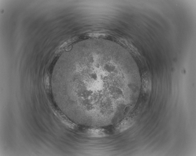 X0000085260375200703161410