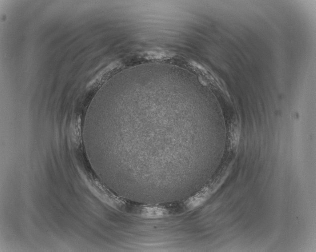 X0000085260376200703161410