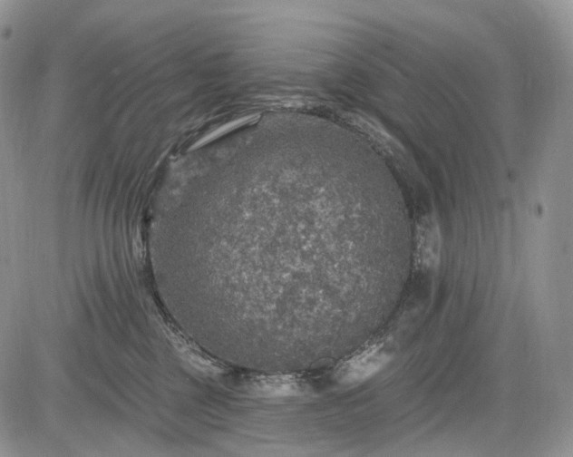 X0000085260377200703161410