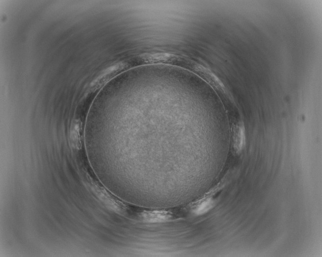 X0000085260378200703161410