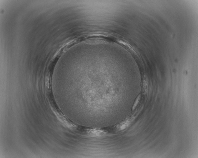 X0000085260379200703161410