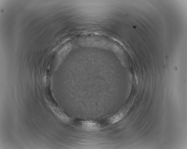 X0000085260380200703161410