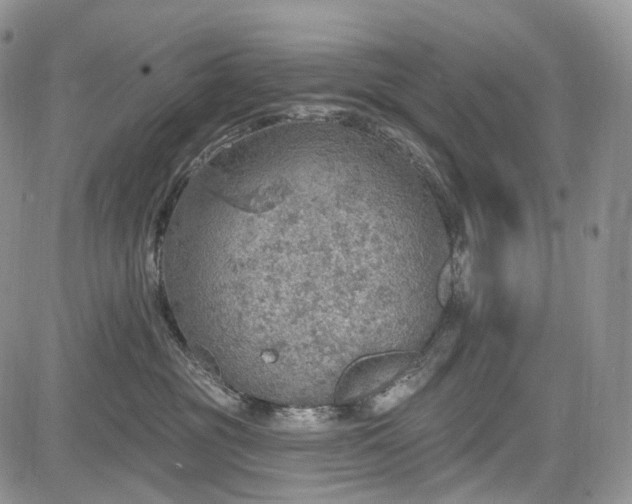 X0000085260381200703161410