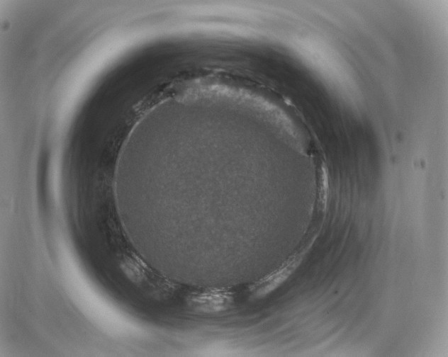 X0000085260383200703161410