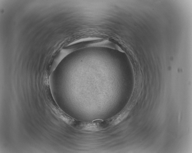 X0000085260384200703161410