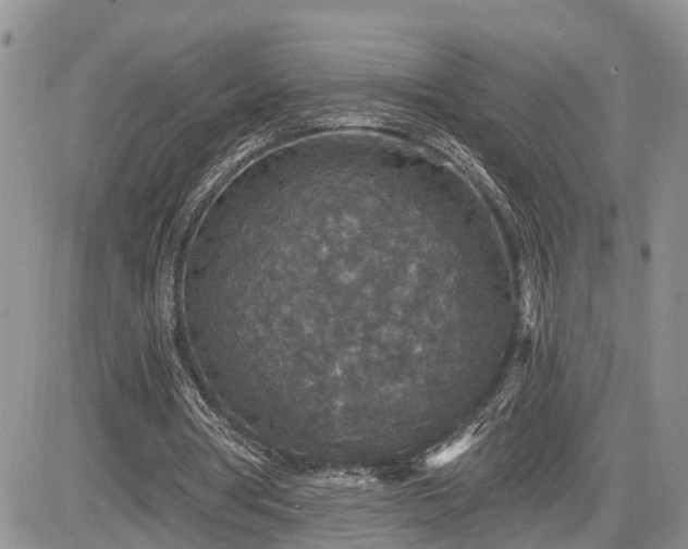 X0000085260386200703161409